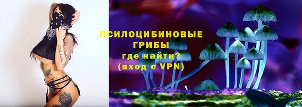 MDMA Медногорск