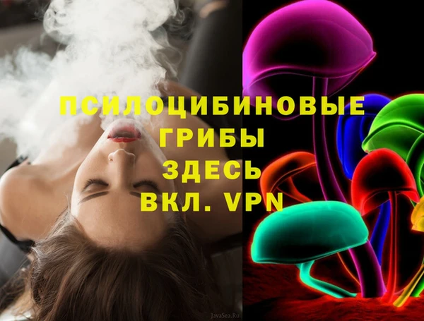 ECSTASY Медвежьегорск