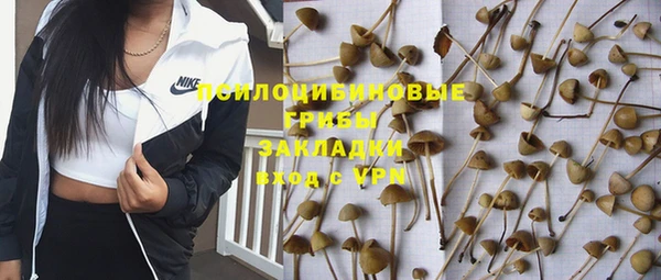 ECSTASY Медвежьегорск